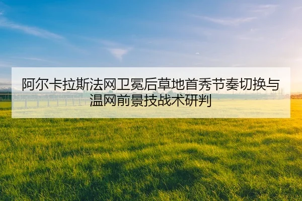 a-er-ka-la-si-fa-wang-wei-mian-hou-cao-di-shou-xiu-jie-zou-qie-huan-yu-wen-wang-qian-jing-ji-zhan-shu-yan-pan-2-937.jpg